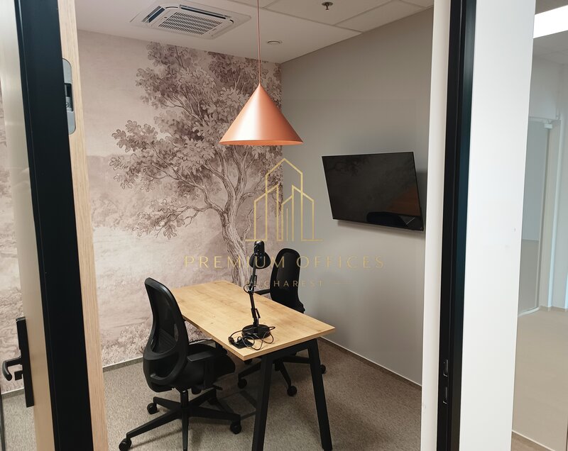 Calea Victoriei serviced offices premium